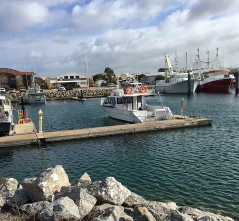 Port Lincoln Shark Apartment 1 Zewnętrze zdjęcie